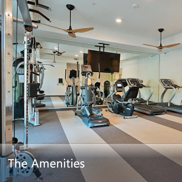 Features & Amenities