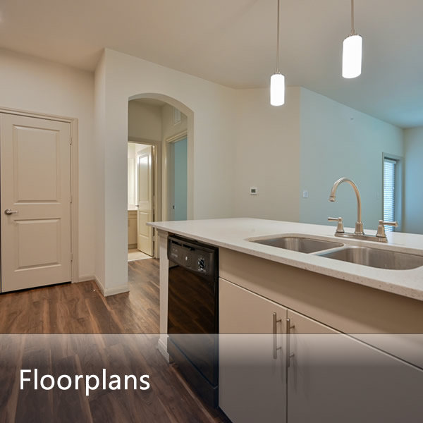 Spacious Floor Plans